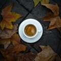 How Buffalo Businesses Can Use Social Media During the Fall Season